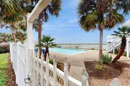The Green Palm - Image 3