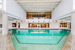 Pelican Oasis - Image 3