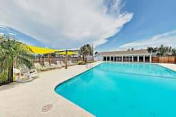 Bay Shore Having Fun - Image 2