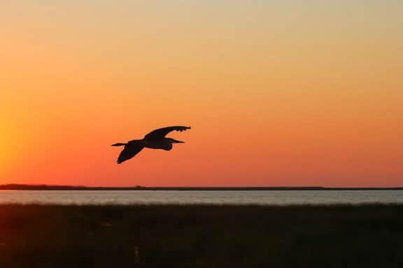 Saltwater Serenity at the Reserve - Image 3